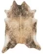 Odessa ODE-01 Mocha/Sand Area Rug
