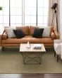 Drew & Jonathan Paloma Lichen Area Rug