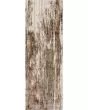 Parker 3705F Tan/Ivory/Brown Rug