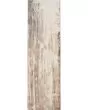 Parker 3709F Tan/Ivory/Gray Area Rug