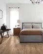Pergo Elements La Fortuna Cardamom Oak 7" Laminate