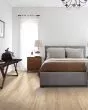 Pergo Elements La Fortuna Reverence Oak 7" Laminate