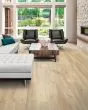 Pergo Elements Rivas Saffron Chestnut 6" Laminate
