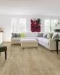 Pergo Extreme Preferred Wider Longer Toasted Peanut Vinyl