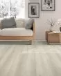 Pergo Extreme Preferred Wood Originals Morning Light