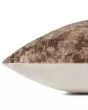 PLL0104 Multi 22"x22" Pillow