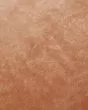 PMH1153 Peach 13" x 21" Pillow