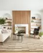 Polly POL-04 Beige/Tobacco Area Rug