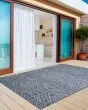 Provo 5778 Blue Quinn Area Rug
