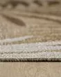 Provo 5787 Natural Area Rug