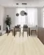 Pergo Extreme Preferred Hamilton Grove Ashton Vinyl