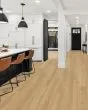 Pergo Extreme Preferred Hamilton Grove Bramble Vinyl