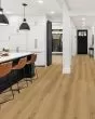 Pergo Extreme Preferred Hamilton Grove Athena Vinyl