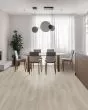 Pergo Extreme Preferred Hamilton Grove Bennington Vinyl