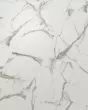 Pergo Extreme Preferred Gradient Arches Alexandria Vinyl