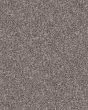 Refined Chic Alaskan Air Textured Carpet