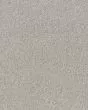 Refined Chic Frozen Textured Carpet
