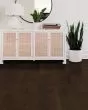 St. Petersburg Bayfront 5" Birch Hardwood
