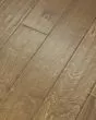 St. Petersburg Parasail 5" Birch Hardwood