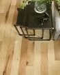 Clearwater Maple Natural 5" Maple Hardwood