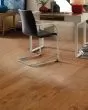 Clearwater Surfside 5" Maple Hardwood