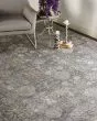 Sarrant 3965F Gray/Silver/Tan Area Rug