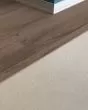 Coretec Baby Threshold Trim Piece