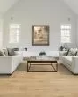 Sebastian Isle Puerta Oak Plus Hardwood