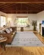 Sedona SN1 Sage Area Rug
