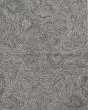 Serenity 1258 Grey Playa Area Rug