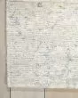 Silk Shadows SHA10 Sterling Area Rug