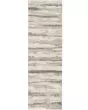 Sustainable Trends SUT03 Ivory Multicolor Rug