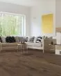 Biscayne Bay Birch Low Tide 5" Hardwood