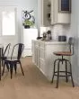 Biscayne Bay Birch Seagrass 5" Hardwood