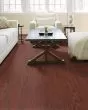 Albright Red Oak 5" Cherry Hardwood