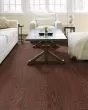 Timeless Red Oak 5" Hazelnut Hardwood