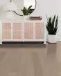 Eclectic Red Oak Modern 5" Hardwood