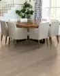 Eclectic Red Oak Modern 5" Hardwood