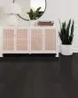 Eclectic Red Oak Urban 5" Hardwood