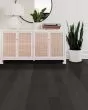 Eclectic Maple Contemporary 5" Hardwood