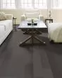 Eclectic Maple Contemporary 5" Hardwood