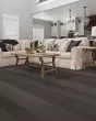 Eclectic Maple Contemporary 5" Hardwood
