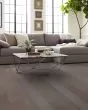 Alpine Hickory Centennial Grey Hardwood