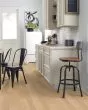 Natural Classics White Oak 5" Hardwood