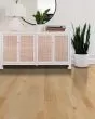 Natural Classics Hard Maple 3" Hardwood