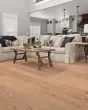 Natural Classics Red Oak 5" Hardwood