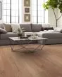 Natural Classics Red Oak 5" Hardwood