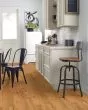 Lineage Red Oak 5" Honey Hardwood