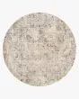Theia THE-04 Multi/Natural Area Rug