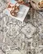 Theory THY-03 Natural/Grey Area Rug